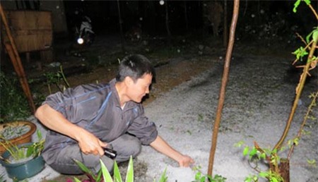 mưa đá, thủng nhà, thiệt hại, Lào Cai