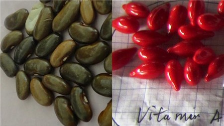 <br /><br />
Hạt đậu và viên Vitamin A mà ông Hùng nhầm lẫn.
