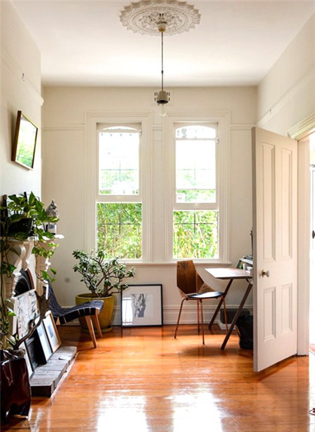 Top cây cảnh đẹp giúp sự nghiệp thăng tiến - 1