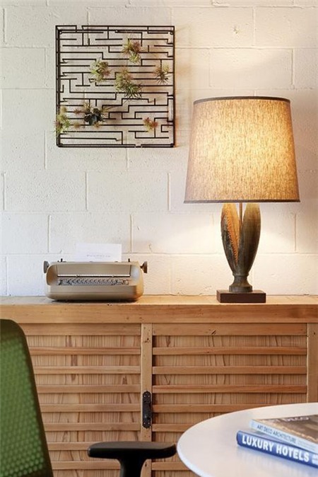 Top cây cảnh đẹp giúp sự nghiệp thăng tiến - 8