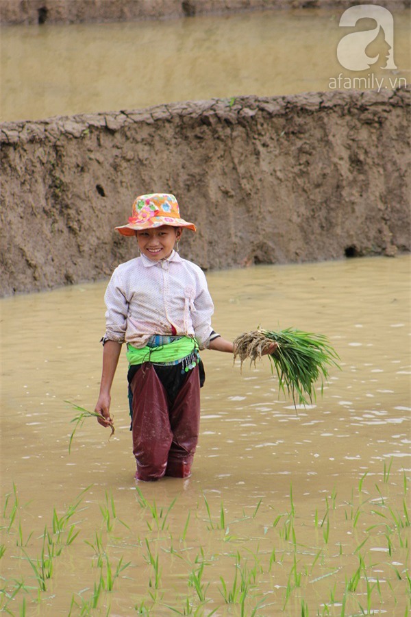 Giọt mồ hôi và nụ cười của những đứa trẻ không nghỉ hè ảnh 2 trẻ em vùng cao