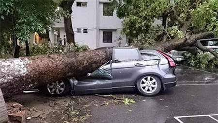 Sống ở Hà Nội, cần phải biết những nguy hiểm chết người này! - Ảnh 3 Sống ở Hà Nội, cần phải biết những nguy hiểm chết người này! - Ảnh 3