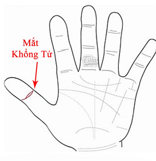 Những điểm Tren Ban Tay Bộc Lộ Giac Quan Thứ 6 Nhạy Ben Tin Tức Online