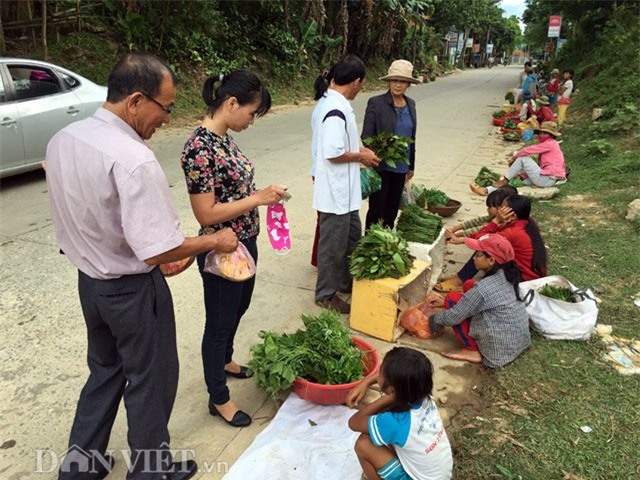 "Chợ nông sản" bán rau quả rừng vừa rẻ vừa sạch 100% hình ảnh 6 "cho nong san" ban rau qua rung vua re vua sach 100% hinh anh 6