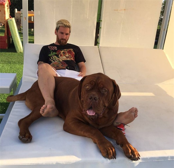 Sau 11 tháng, chó cưng nhà Messi lớn nhanh đến khó tin - Ảnh 3.