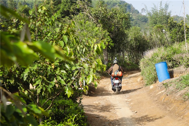 Hon nhau, nam bo ra san chua Linh Quy Phap An chup anh hinh anh 5