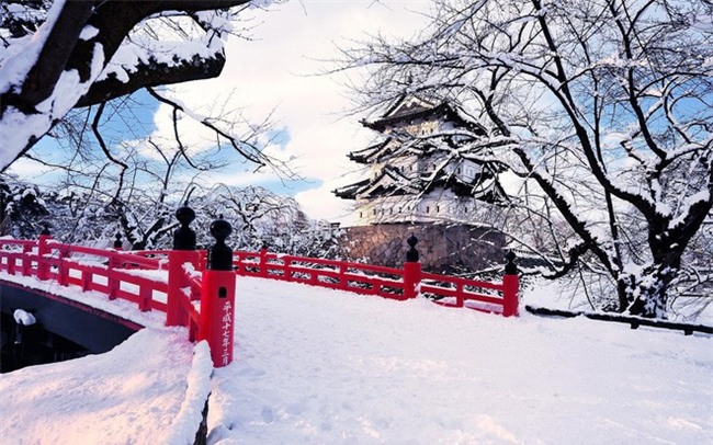 Ngất ngây với những hình ảnh tuyết rơi đẹp lung linh trên khắp thế giới - Ảnh 10.