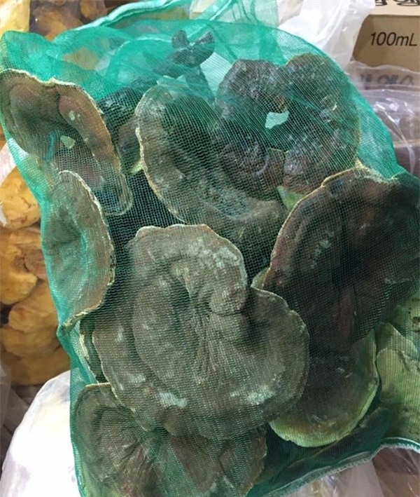 Nấm lim xanh gần 3 triệu/kg - món quà Tết đang được nhà giàu Việt săn lùng