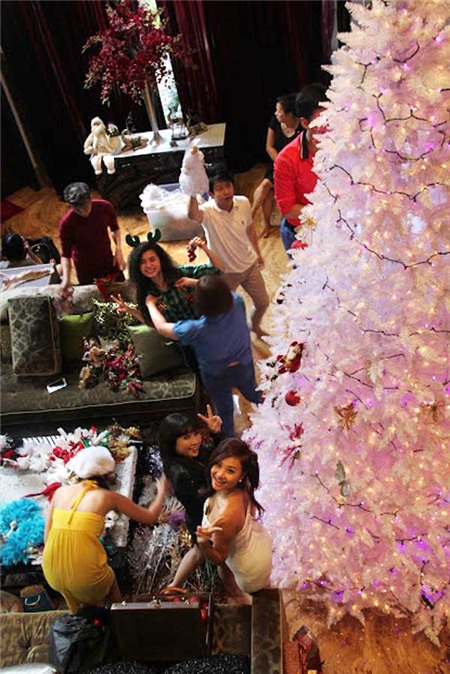 Biệt thự Đàm Vĩnh Hưng lộng lẫy chào Noel - 7