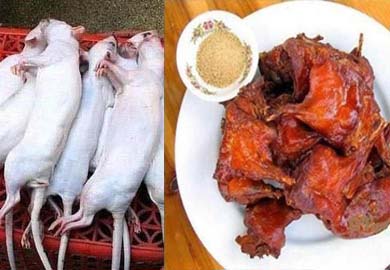 Người TQ khốn khổ vì thịt giả, cá nhựa 