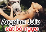 Angelina Jolie cắt bỏ ngực