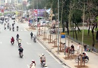 Hà Nội khẳng định cây trồng trên đường Nguyễn Chí Thanh là vàng tâm
