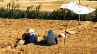 Làm đồng giữa trời nắng nóng, 2 nông dân tử vong