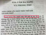 Định nghĩa 'Lạc đà là loài chim lớn nhất thế giới' gây choáng