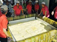 Cận cảnh gói chiếc bánh chưng “khủng” 2,5 tấn dâng Quốc Tổ