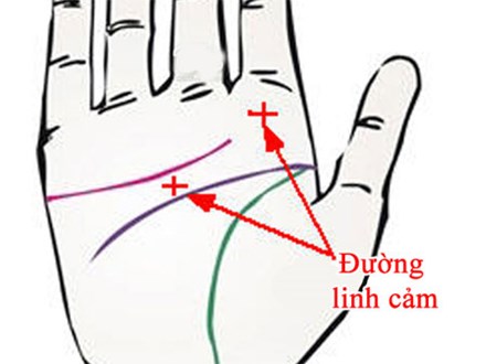 Những điểm trên bàn tay bộc lộ giác quan thứ 6 nhạy bén