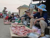 Dân không dám ăn cá biển, thịt lợn tăng giá mạnh 