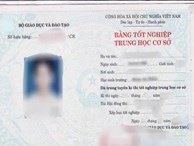 Trưởng ban tổ chức Thành ủy 'mượn' bằng của bạn