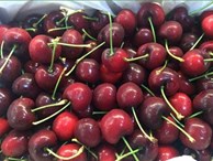 Cherry Mỹ nhập khẩu phơi cả ngày dưới trời nắng vẫn tươi