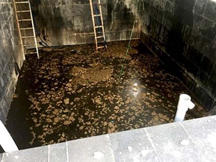Năm người tử nạn dưới hầm nước mắm không phải do điện giật