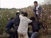 Trộm xe tay ga ở vườn đào Tết, bị người dân vây đánh hội đồng