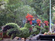 Người Hà Nội sắp được chiêm ngưỡng 12 con giáp bằng cây và hoa thật dịp Tết