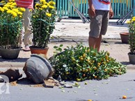Chợ hoa Sài Gòn ngày 30 Tết: Người “bán tháo bán chạy”, kẻ cay đắng đập chậu