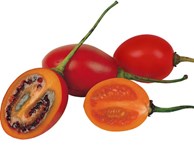 Cà chua giá 1 triệu đồng/kg gây sốt: Có gì bổ dưỡng mà giá cao 'ngất ngưởng'?