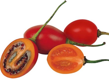 Cà chua giá 1 triệu đồng/kg gây sốt: Có gì bổ dưỡng mà giá cao 