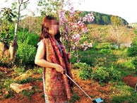 Phó giám đốc Sở Tư pháp Bình Thuận trần tình việc bẻ cành hoa anh đào