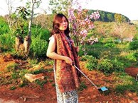 Tỉnh Bình Thuận yêu cầu bà Hiếu công khai xin lỗi vụ bẻ hoa
