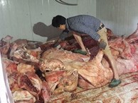 Bắt giữ trên 4 tấn thịt thối suýt biến thành 'lợn hun khói'
