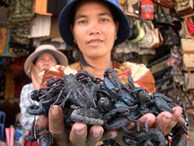 Những khu chợ kỳ dị, độc đáo chỉ có ở Việt Nam