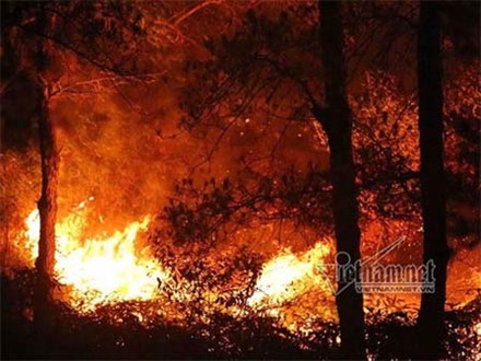 Cháy rừng phòng hộ Sóc Sơn lớn nhất trong lịch sử