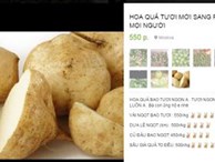 Khế ngọt Việt Nam 50 nghìn đồng/quả, củ đậu đắt 10 lần