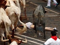 Tây Ban Nha: Hàng loạt du khách bị húc trọng thương trong lễ hội bò tót
