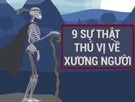 9 sự thật thú vị về hệ thống xương người 