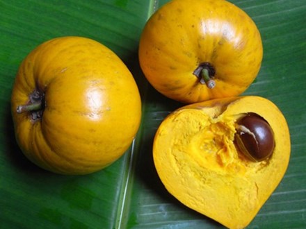 Người Việt chê trứng gà (lê ki ma) chín rụng không ăn còn trên Amazon rao bán tiền triệu