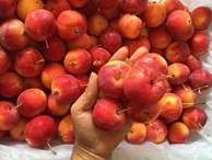 5 loại táo Tàu đang bán đầy chợ Việt, chị em dễ nhầm lẫn