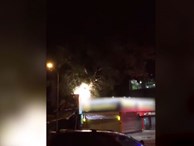 Video: Cây cổ thụ đổ đè sập cửa hàng điện thoại trong đêm