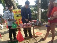 Thót tim cảnh bán cá sấu 'khủng' trên vỉa hè ở Kon Tum