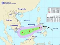 Trưa nay bão Kai-tak đi vào biển Đông, trở thành cơn bão số 15 trong năm nay ở Việt Nam