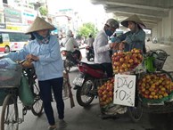 Hà Nội: Có tới 80% trái cây tại các chợ đầu mối không rõ nguồn gốc