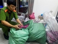 Gia đình bà lão 77 tuổi tàng trữ hơn 130 kg pháo