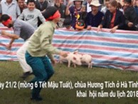 Video: Những pha hài hước khi chơi trò bịt mắt bắt heo ở hội chùa Hương