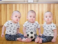 3 bé trai sinh cùng trứng 200 triệu ca mới có 1 trên thế giới bây giờ thế nào?