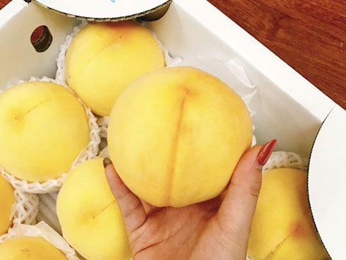 mặt trời gia đình hiệu