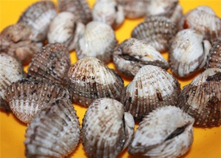 hay nướng mọi đều được.