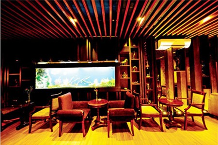 Cận cảnh cơ ngơi