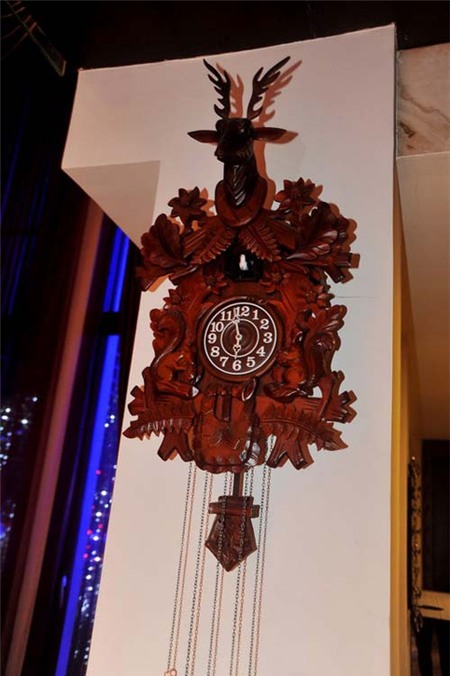 Nhà của Mr Đàm sắp lên báo nước ngoài - 10